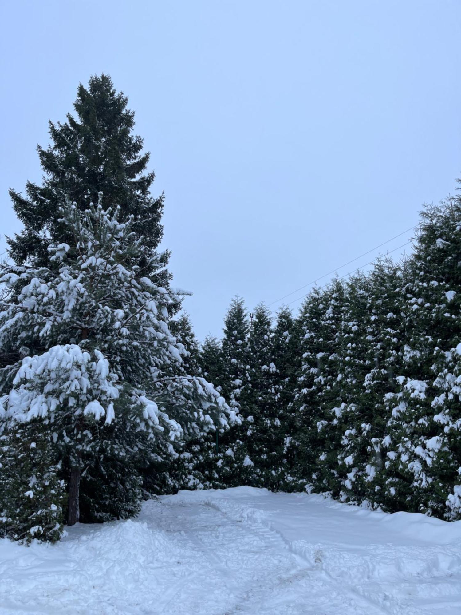Noclegi-Splywy Bugiem Slawatycze Dış mekan fotoğraf