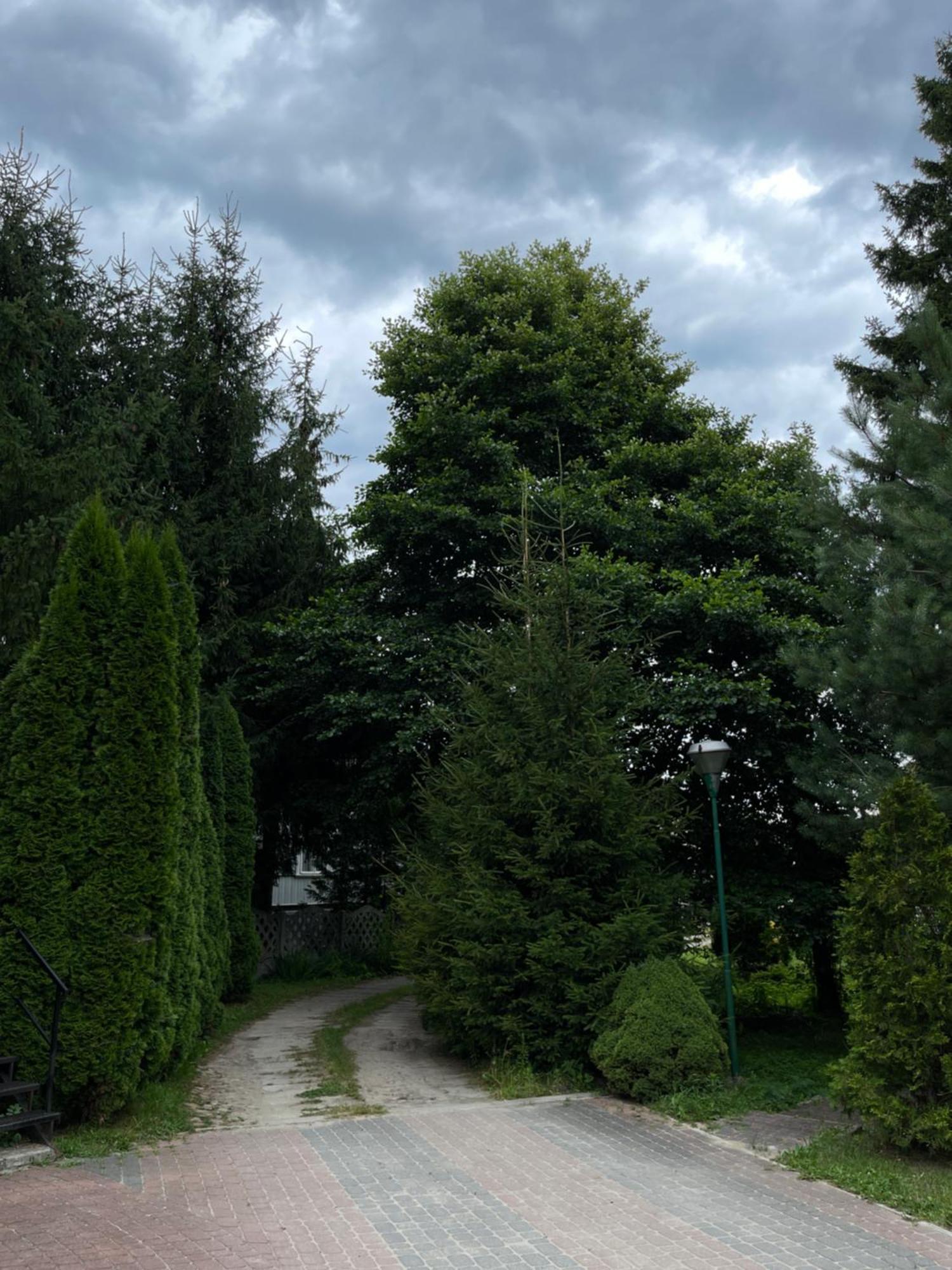 Noclegi-Splywy Bugiem Slawatycze Dış mekan fotoğraf